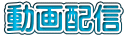 動画配信